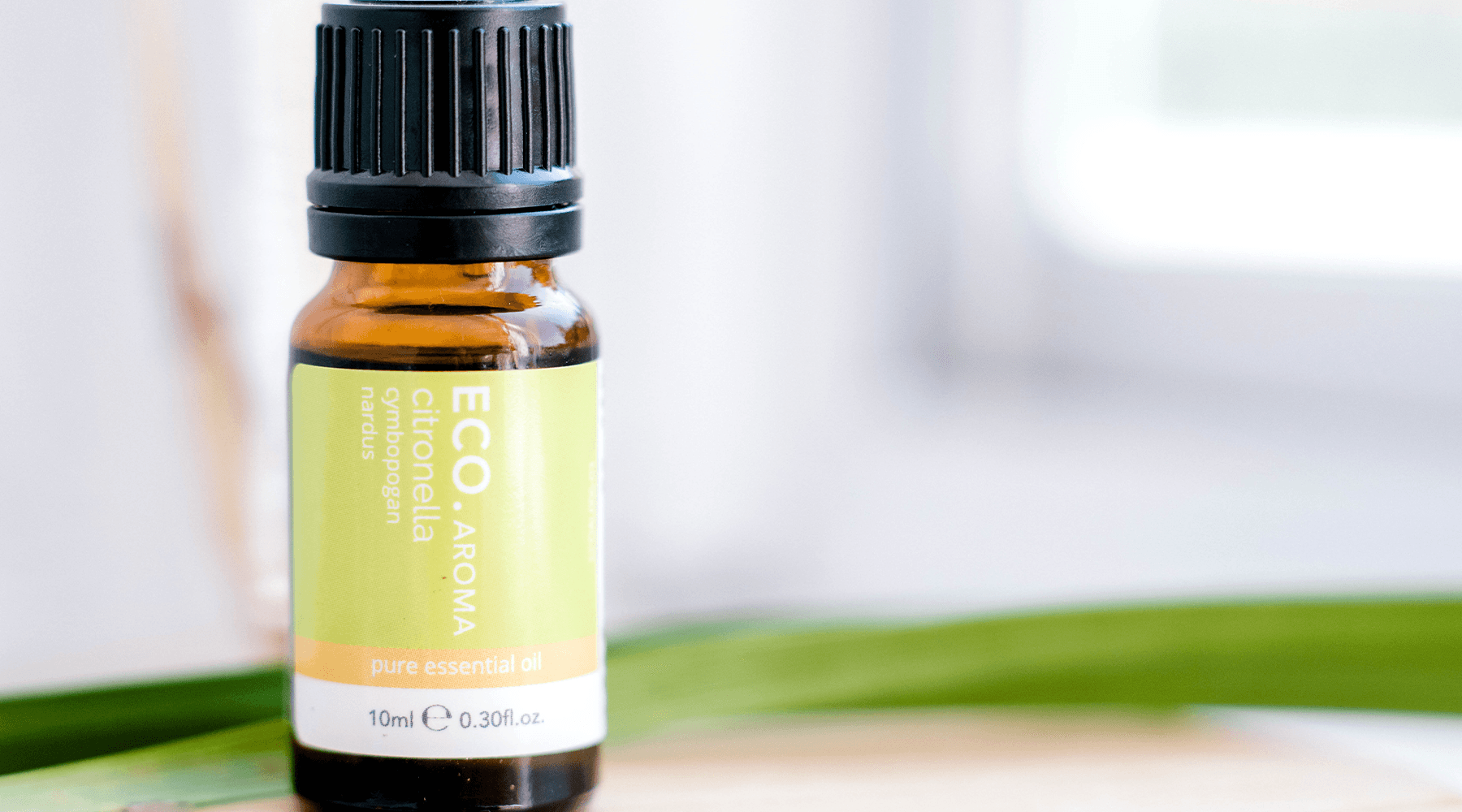 Citronella Essential Oil