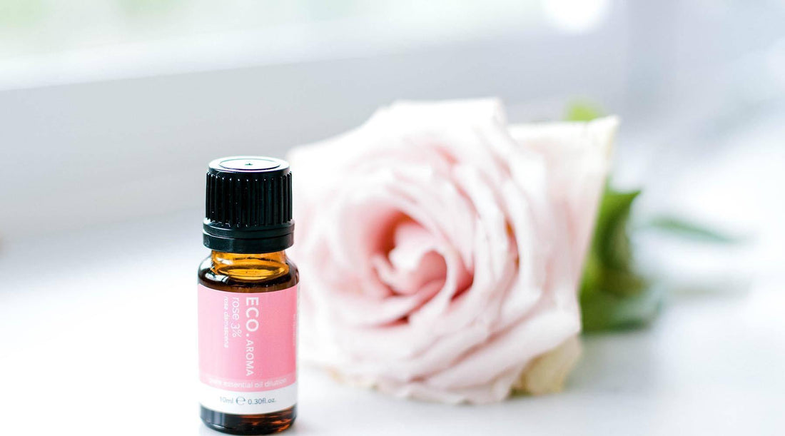 Fall in Love with these DIY Recipes - ECO. Modern Essentials