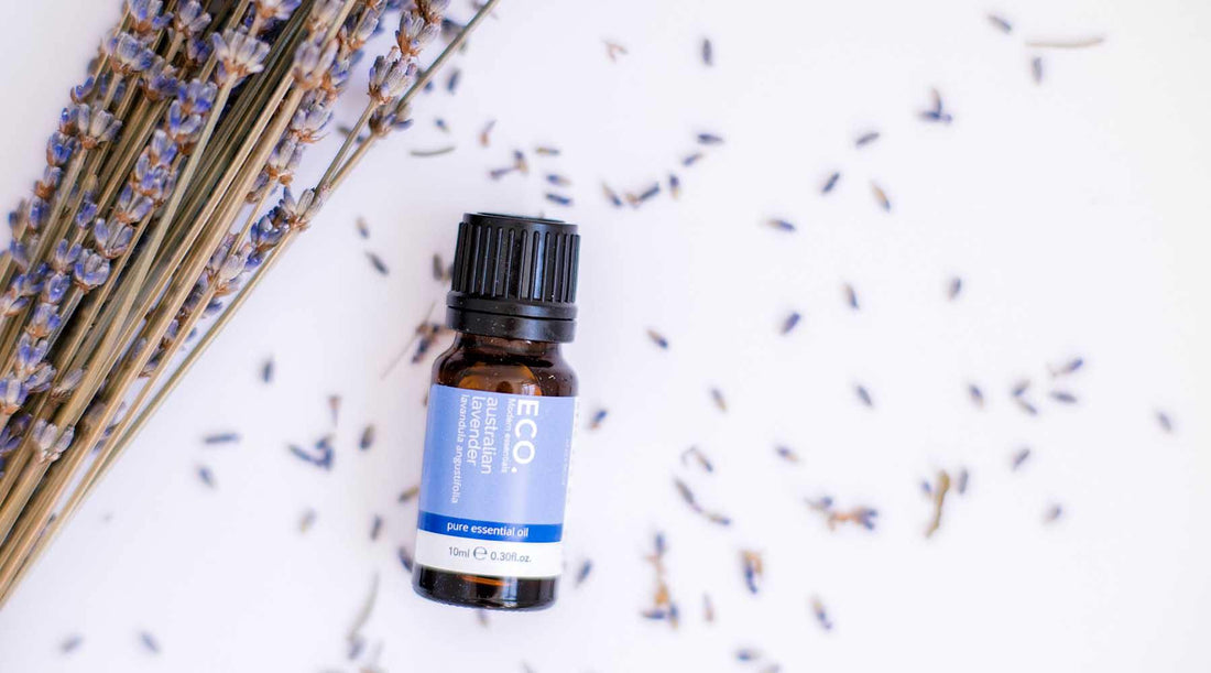 Night Time Aromatherapy Rituals - ECO. Modern Essentials