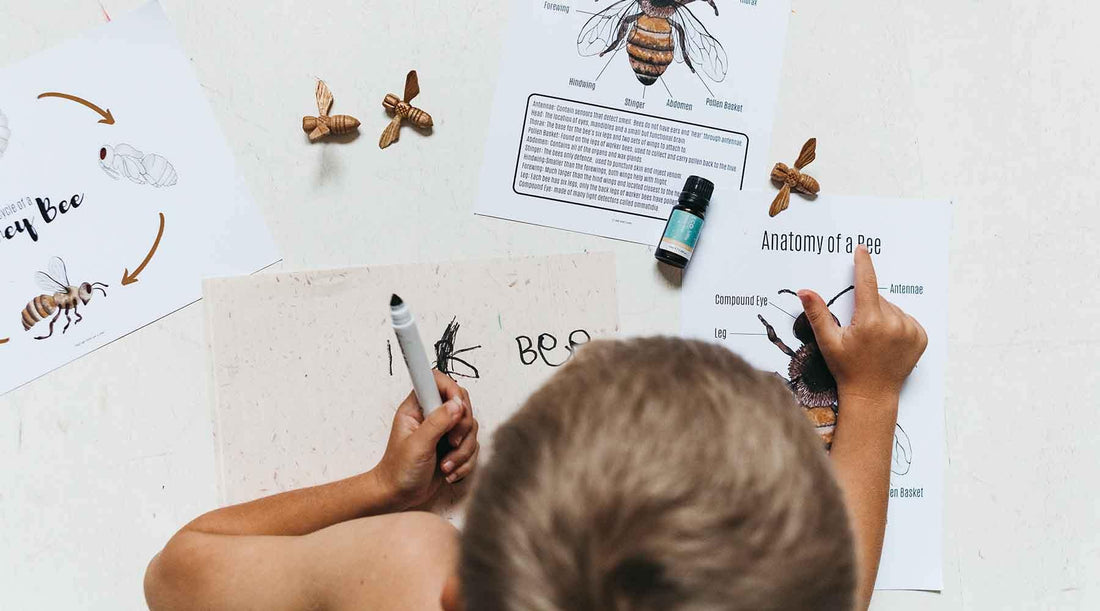 Craft with Kids - ECO. Modern Essentials