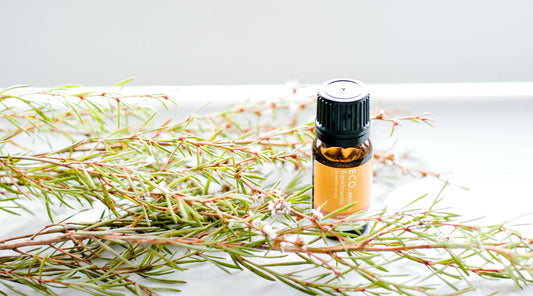 Benefits & Uses of Frankincense Essential Oil