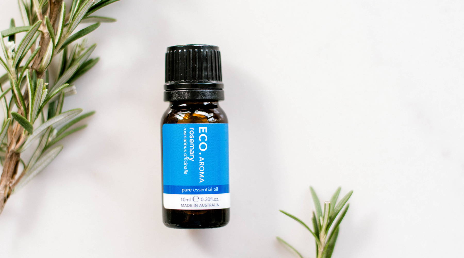 Benefits & uses of Rosemary essential oil – ECO. Modern Essentials