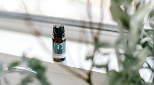 Benefits & Uses of Caraway Essential Oil
