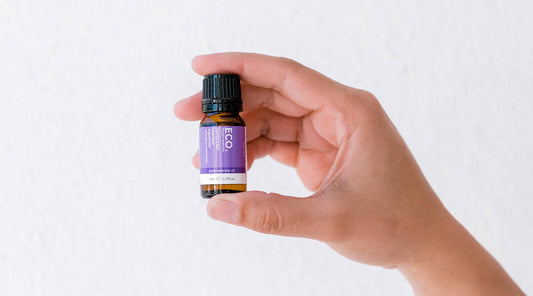 The Best Ways to Use Lavender