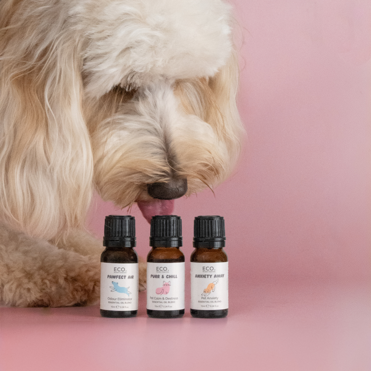 Purr & Chill Essential Oil Blend