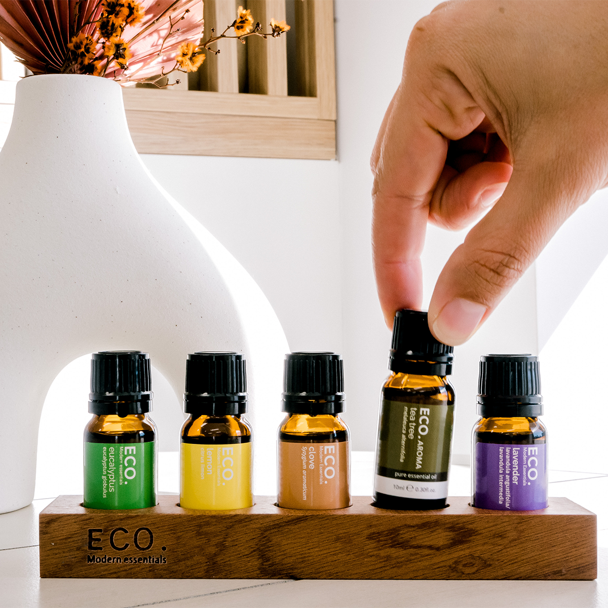 Chantel's Beginners Kit + Display Tray