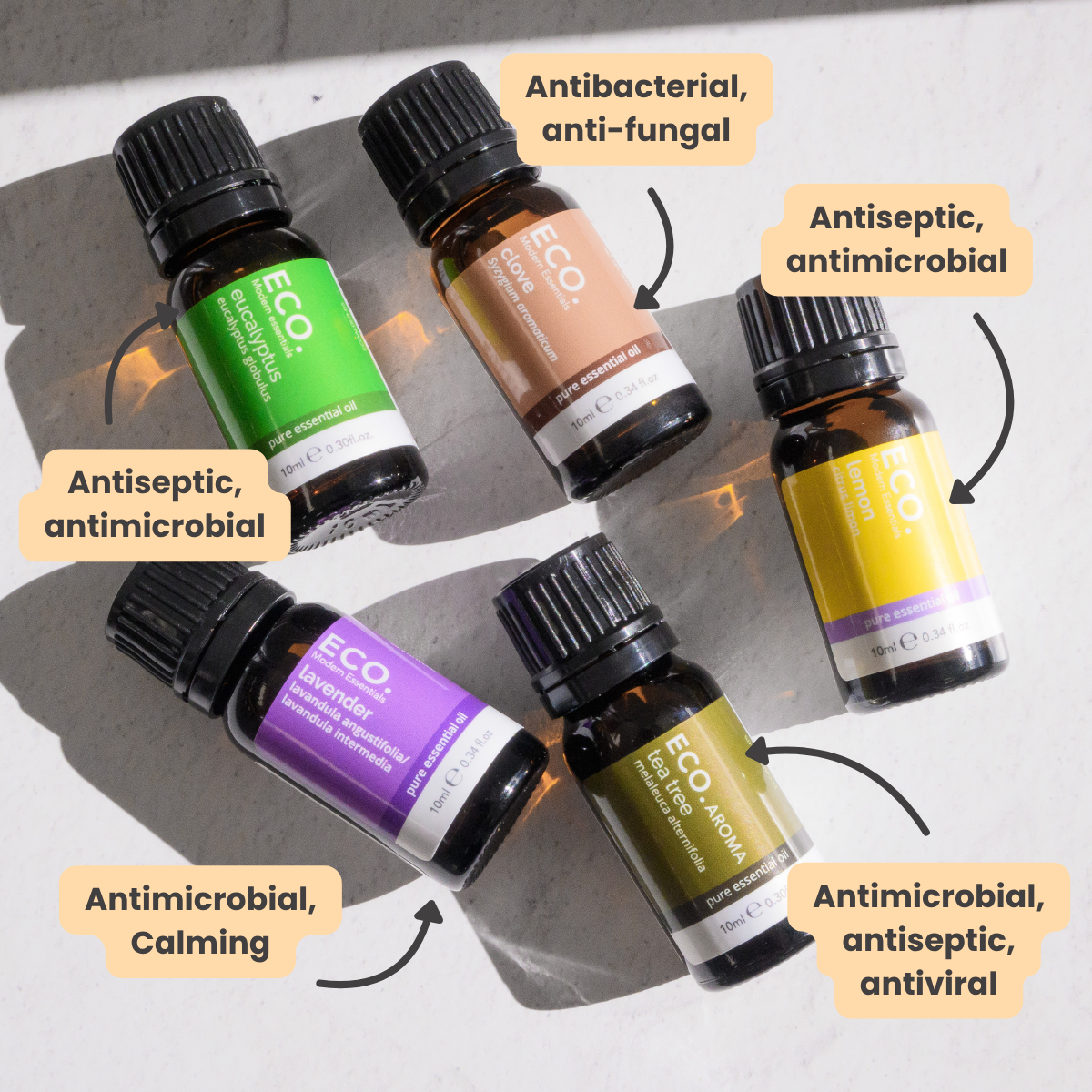 Chantel's Beginners Kit
