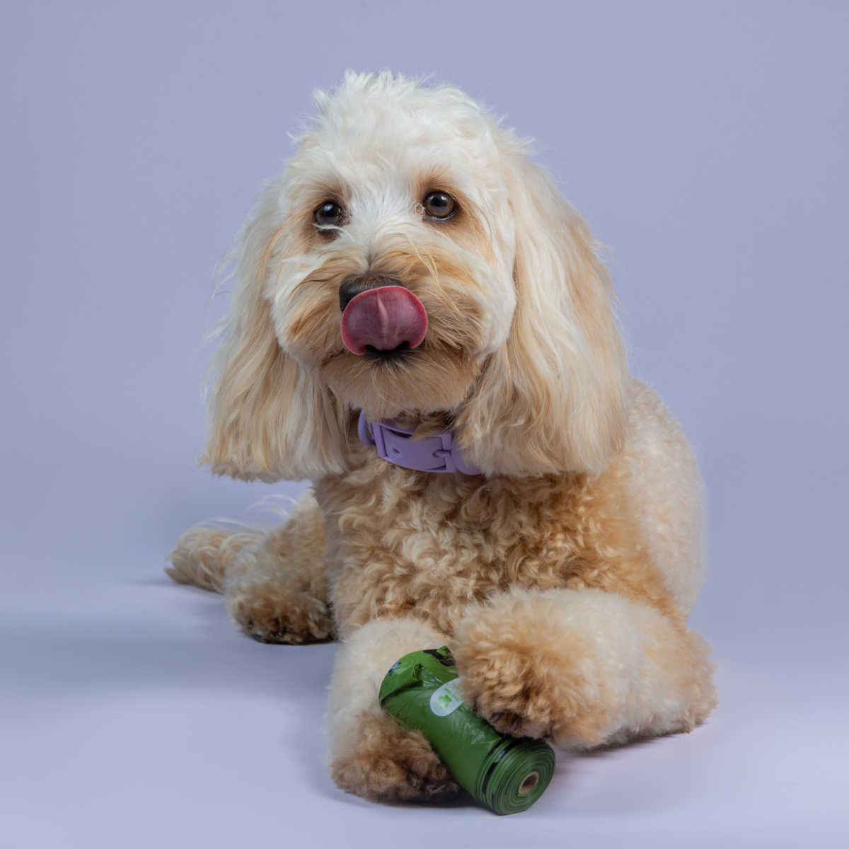 Pet Purchase Gift - FREE Oh Crap Doggy Bags