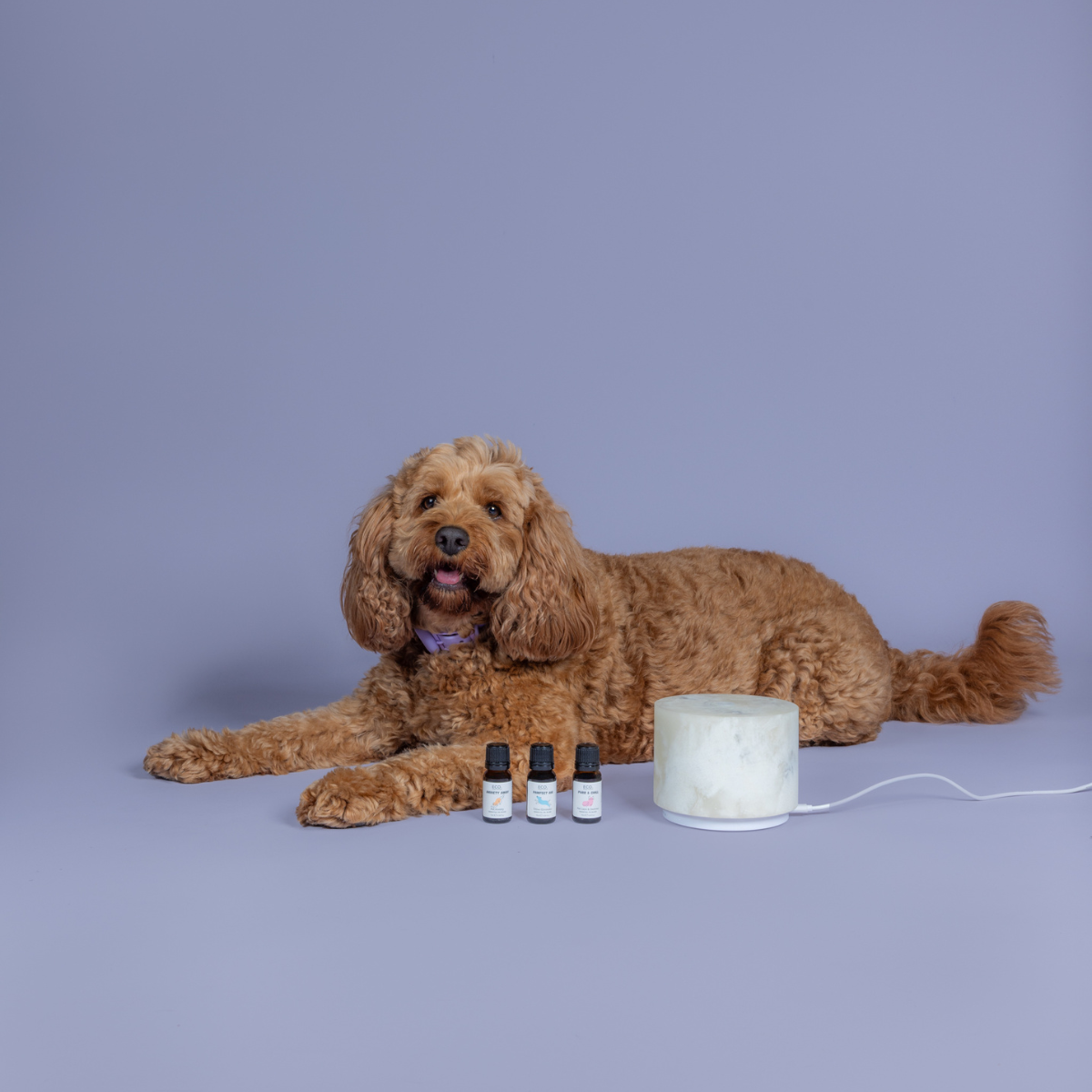 Anxiety Away Essential Oil Blend