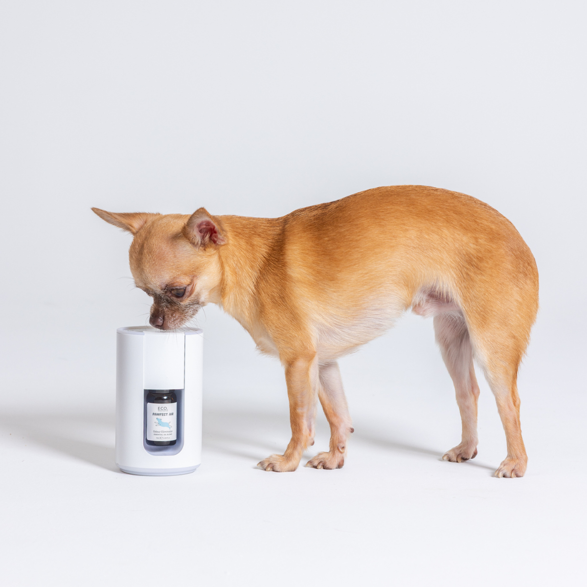 Pawfect Air Essential Oil Blend