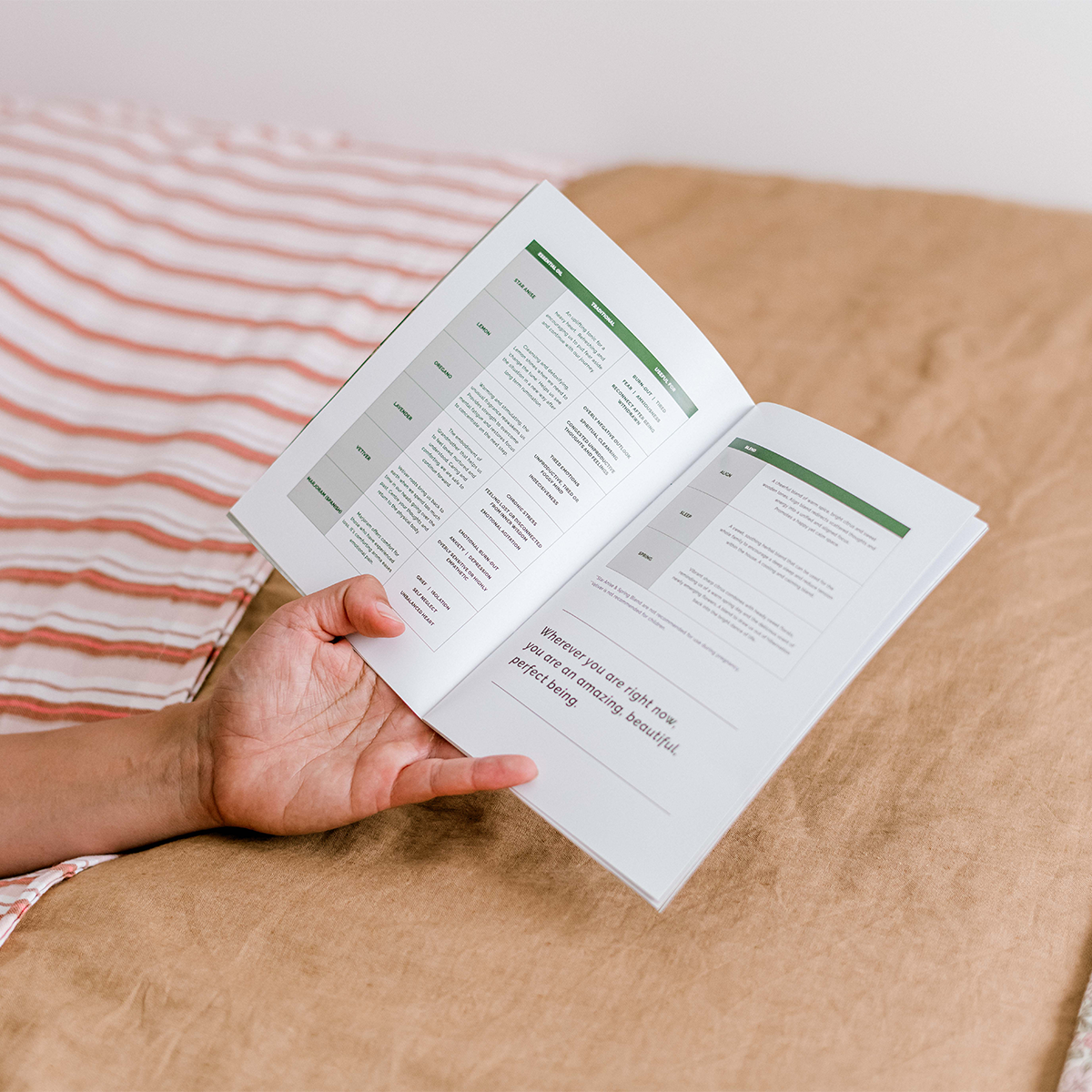 Repair Ritual Booklet