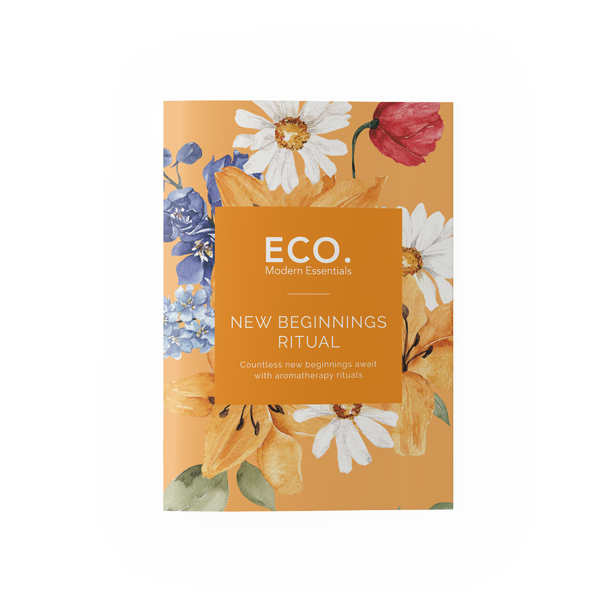 New Beginnings Booklet