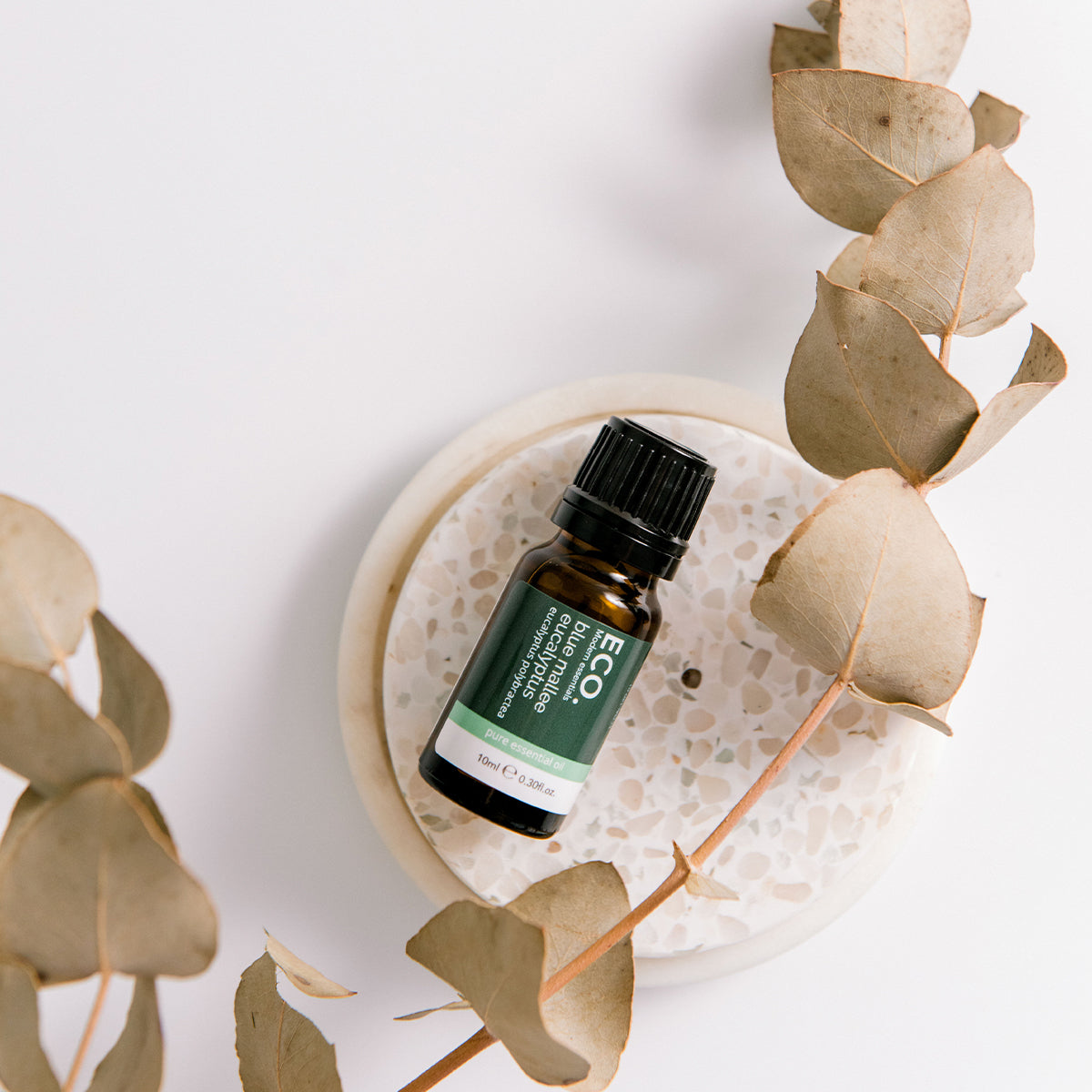 Australian eucalyptus essential oil bottle