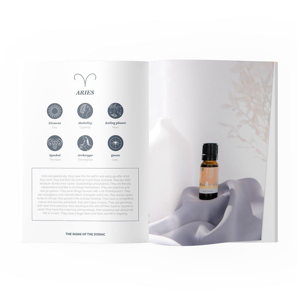 Astrology Booklet - ECO. Modern Essentials