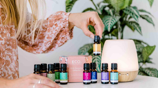 How To Lower Your Carbon Footprint - ECO. Modern Essentials