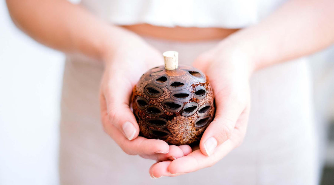 Banksia Seed Aroma Pod - ECO. Modern Essentials
