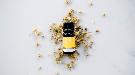 Essential Oils for Allergies - ECO. Modern Essentials