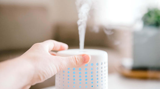 Purifying Diffuser Blends - ECO. Modern Essentials