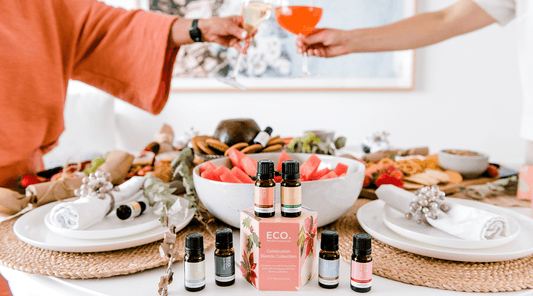 Christmas Diffuser Blends - ECO. Modern Essentials