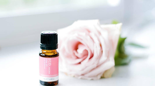 Fall in Love with these DIY Recipes - ECO. Modern Essentials