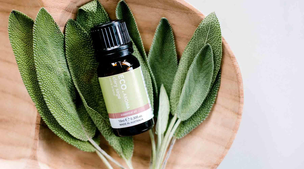 Benefits & Uses of Clary Sage Essential Oil - ECO. Modern Essentials