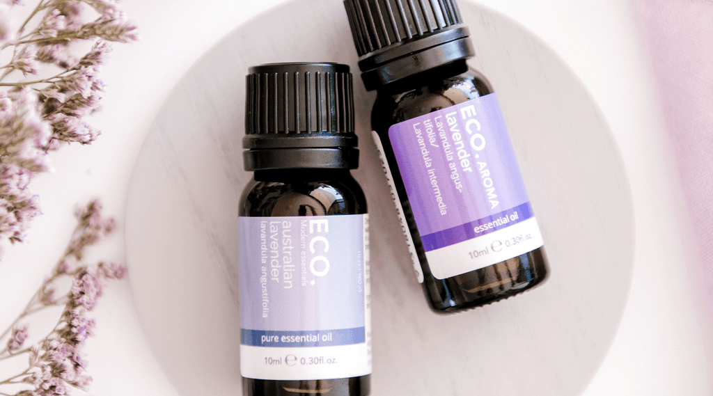 What Essential Oils Are Calming? - ECO. Modern Essentials