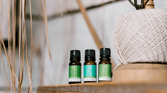 How to Use Essential Oils to Enhance Your Life - ECO. Modern Essentials