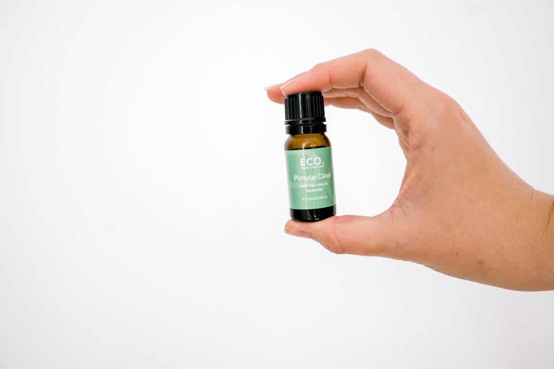 The Blends Our Community Can’t Live Without