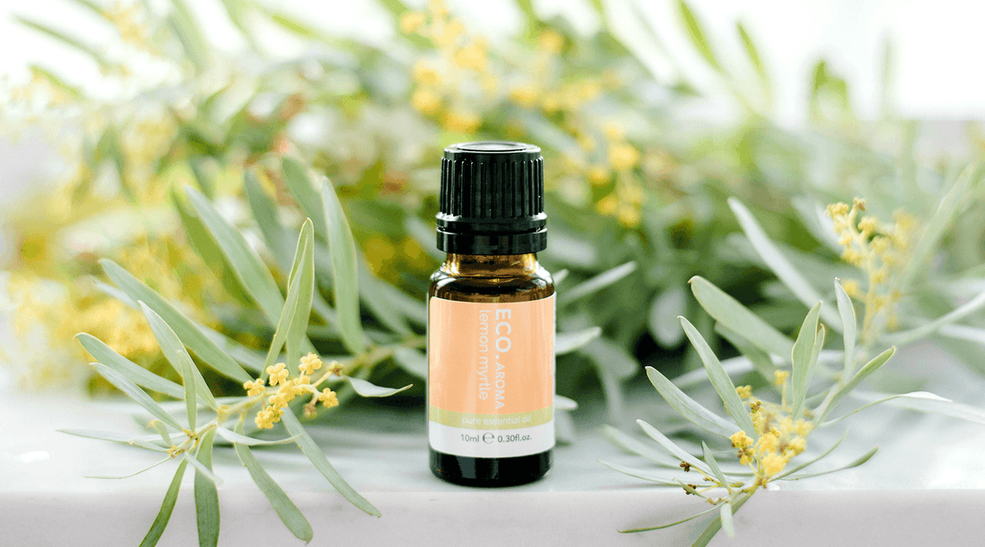 DIY Toilet Spray - ECO. Modern Essentials