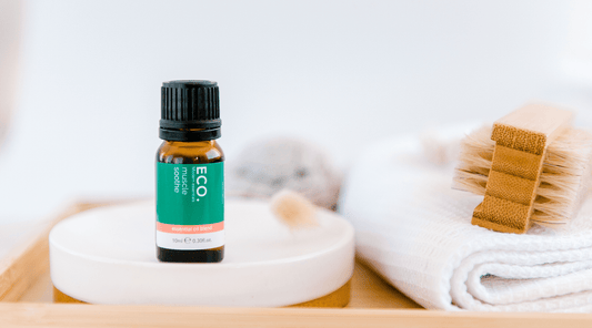 The Importance of Muscle Recovery - ECO. Modern Essentials