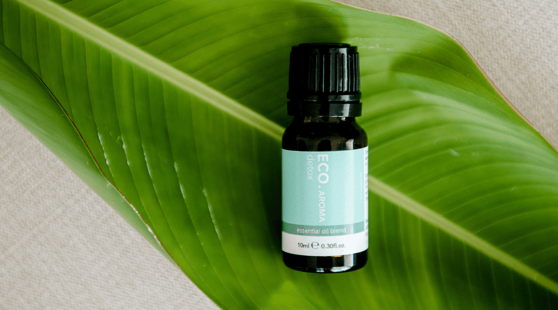 Essential oils for detoxification - ECO. Modern Essentials