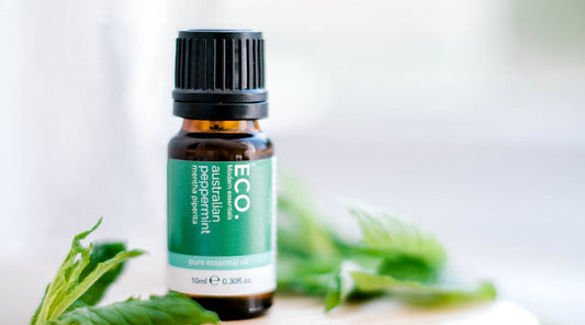 Essential Oils from Australian Plants