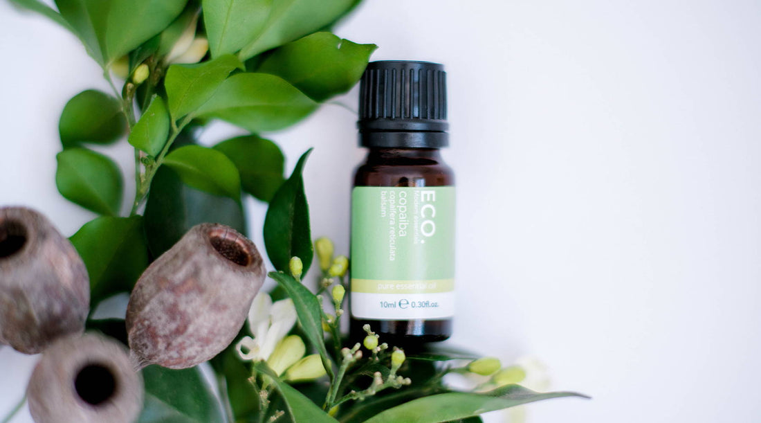 Benefits & Uses of Copaiba Essential Oil
