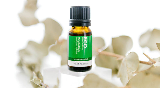 Our Top 12 Essential Oils
