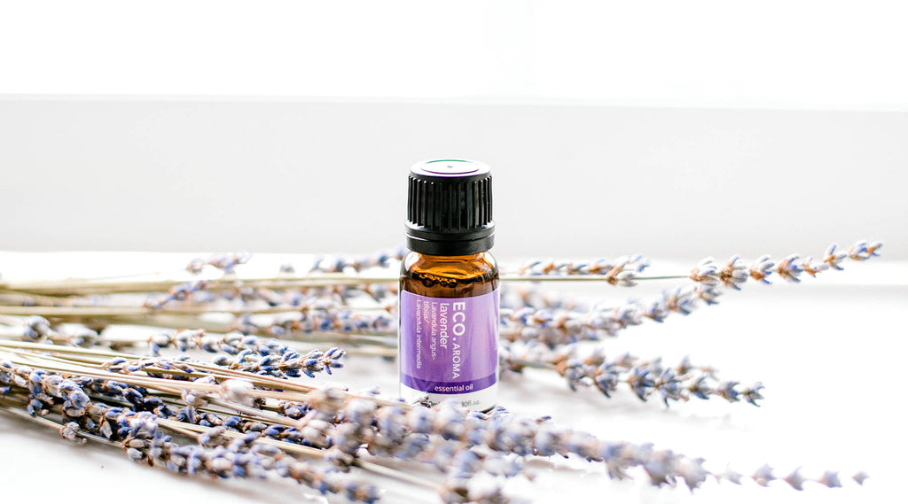 What are the Benefits of the Bay Rum Essential Oil?  Lavender essential  oil benefits, Aromatherapy oils, Essential oils