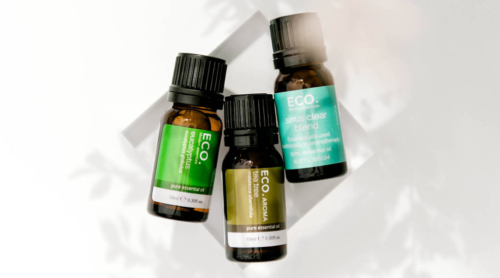 Transitioning from Autumn to Winter with Essential Oils