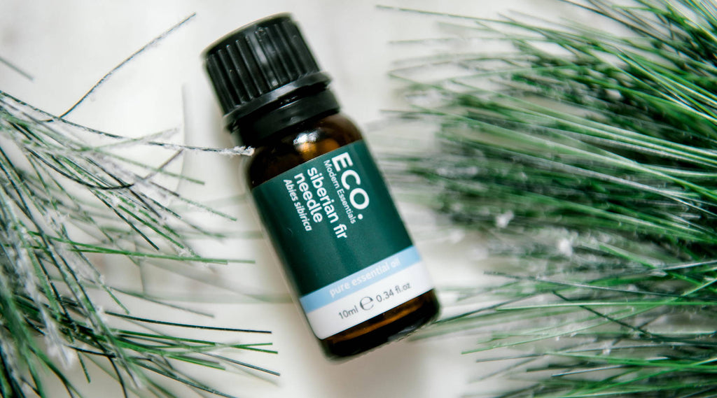 Benefits & Uses of Siberian Fir Needle Essential Oil