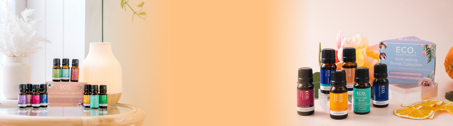 Best Sellers - ECO. Modern Essentials