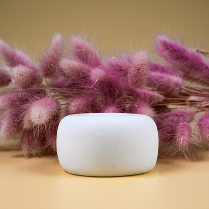 Gypsum Stone Diffuser