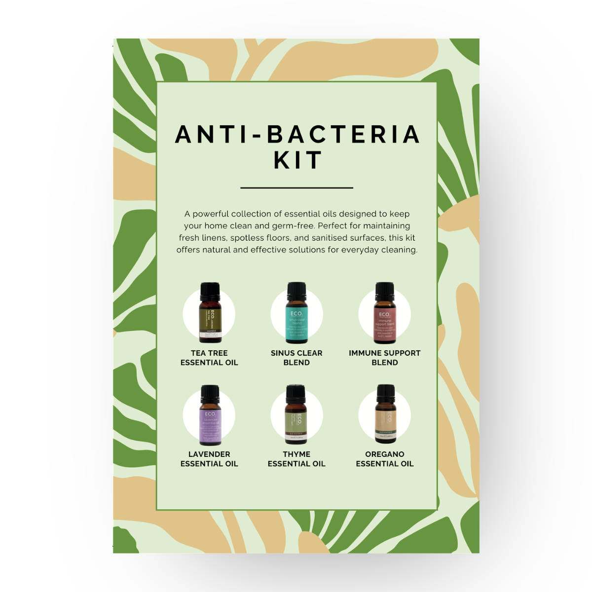 Anti Bacteria Kit Postcard