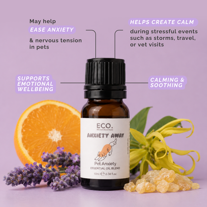 Pet Essentials Trio + Aromatherapy Dog Collar