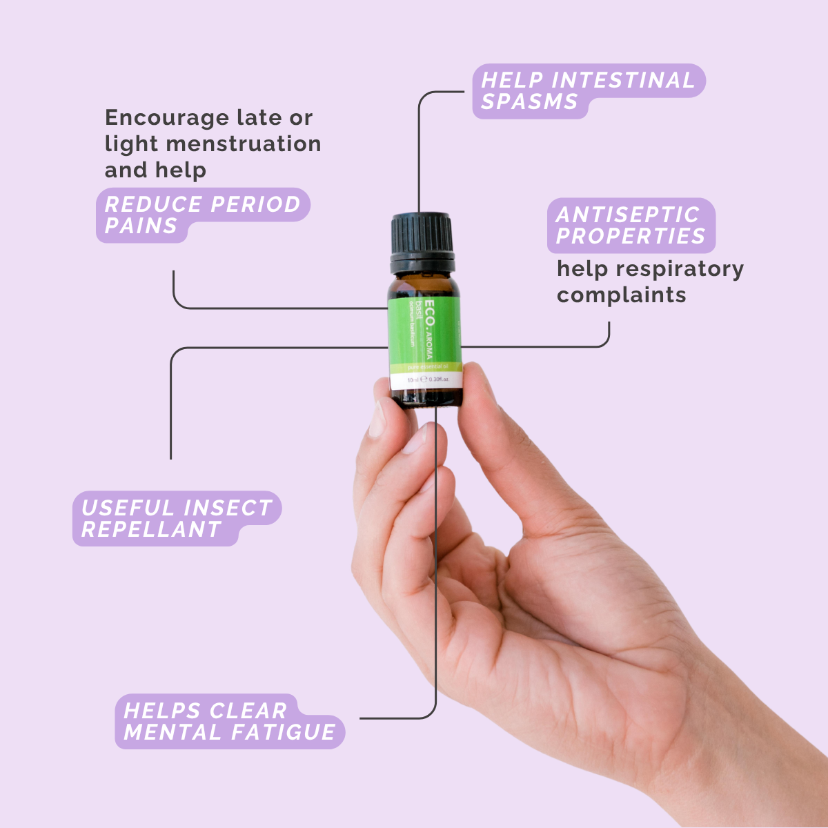 Basil Pure Essential Oil
