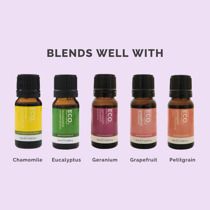 Basil Pure Essential Oil