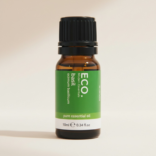 Basil Pure Essential Oil