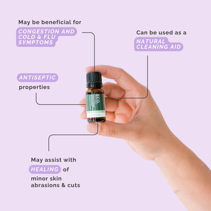 Australian Eucalyptus (Blue Mallee) Pure Essential Oil