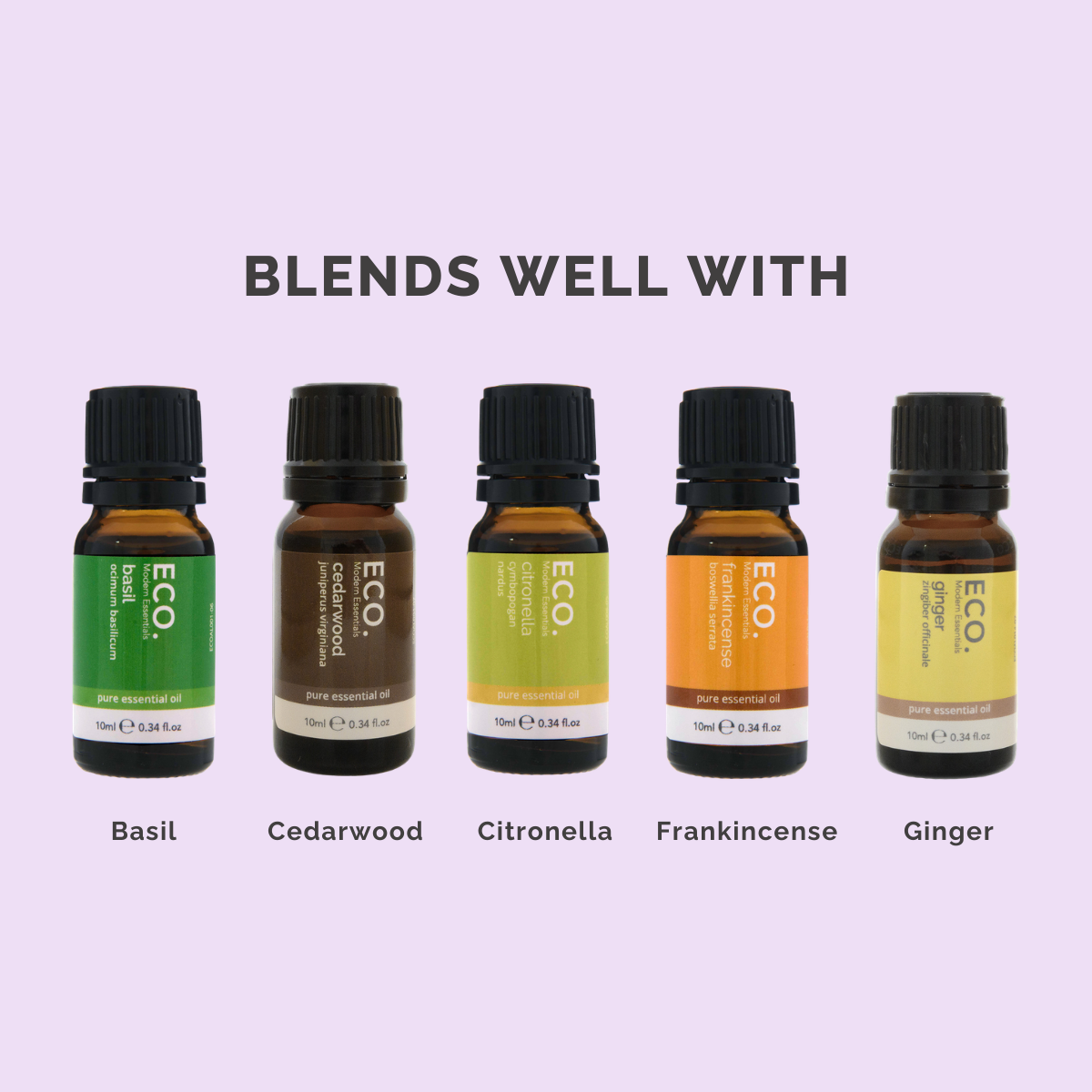 Australian Eucalyptus (Blue Mallee) Pure Essential Oil