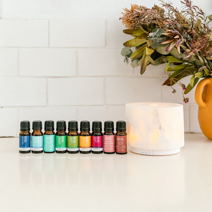 Marble Diffuser + Favourites 10 Pack Collection