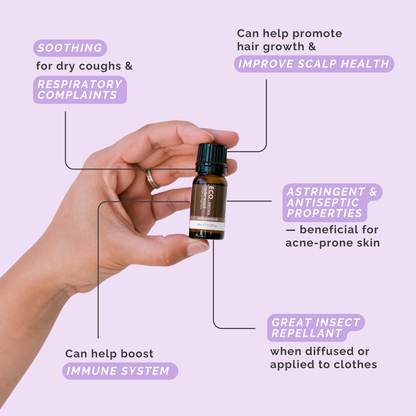 Cedarwood Pure Essential Oil