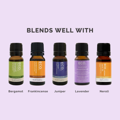 Cedarwood Pure Essential Oil