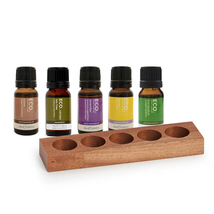 Chantel's Beginners Kit + Display Tray